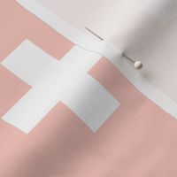 Blush Crosses - Blush Plus Signs