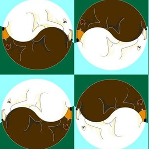 Yin Yang Bears