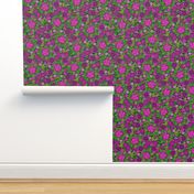 Wild Wallflowers (Pink)