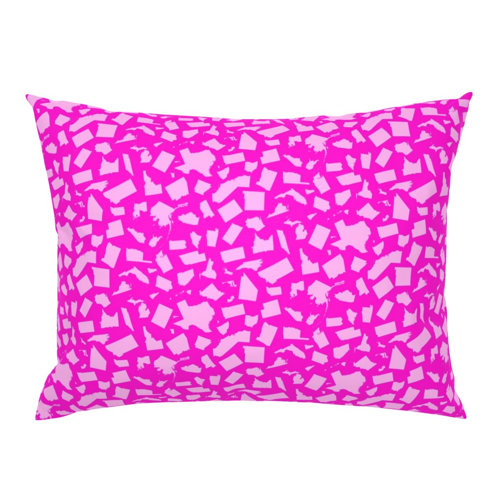 United States Scatter (Pink)