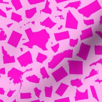 United States Scatter (Pink)