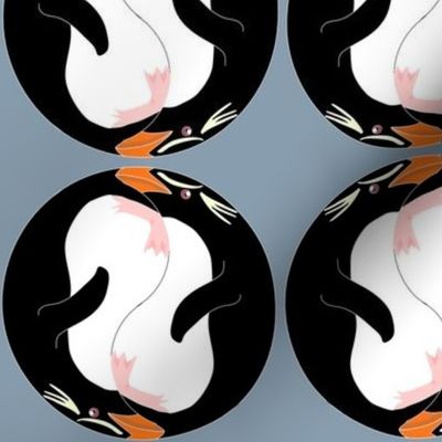 Yin Yang Rockhopper Penguins