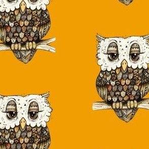 Owl with Orange Background