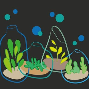 vivid terrariums