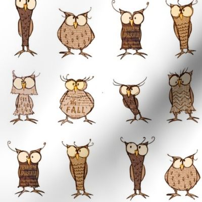 Owl shapes and sizes