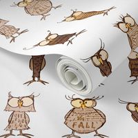 Owl shapes and sizes