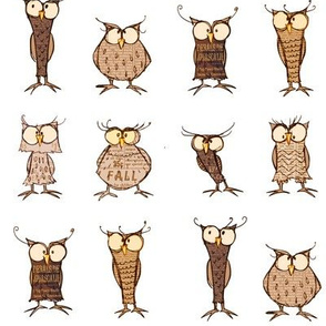 Owl shapes and sizes