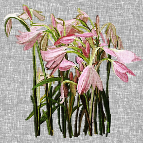 Feature Easter lilies on gray canvas by Su_G_©SuSchaefer