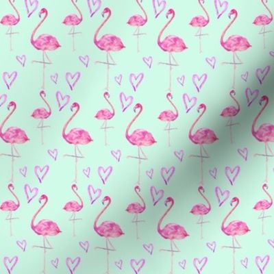 flamingos in mint