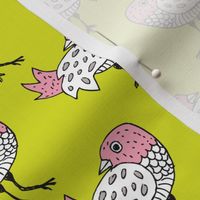 Quirky doodle birds illustration in lime and pink