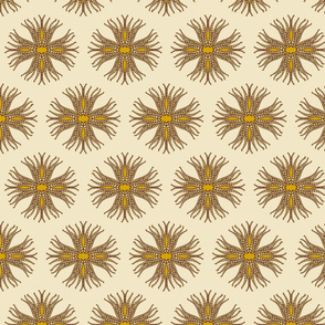 candy_cane_anemone_brown