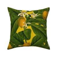 Lemon Botanical ~ Whist ~ Linen Luxe