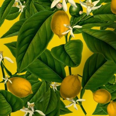 Lemon Botanical ~ Whist