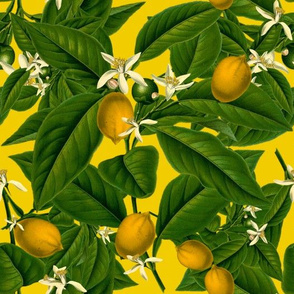 Lemon Botanical ~ Whist