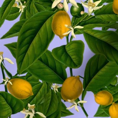 Lemon Botanical ~ Regency