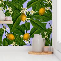 Lemon Botanical ~ Regency