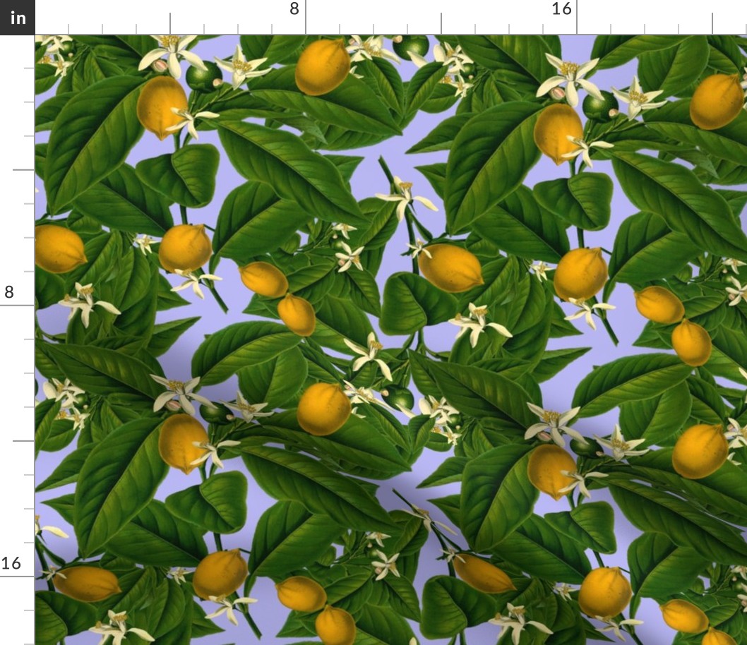 Lemon Botanical ~ Regency