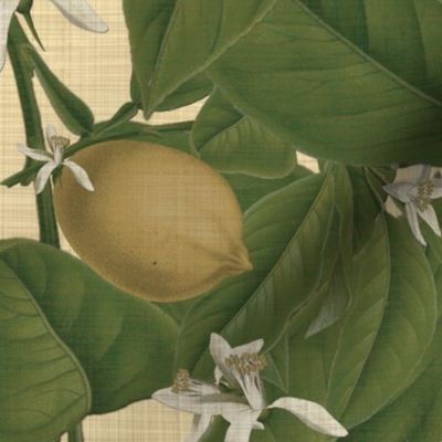 Lemon Botanical ~ Trianon Cream ~ Linen Luxe