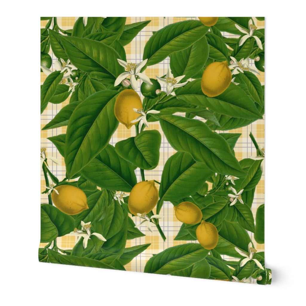 Lemon Botanical ~ Provence Plaid