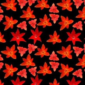 red_tulips_on_black