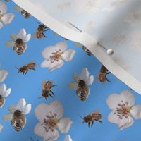 Springtime_bees