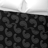 Provence ~ Paisley ~ Embroidered Silver on Blackmail