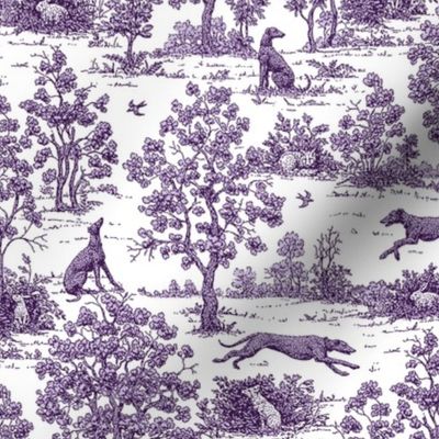 Purple Greyhound Toile 