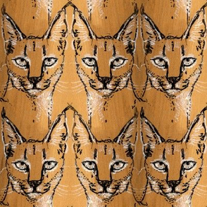 Maple Caracal