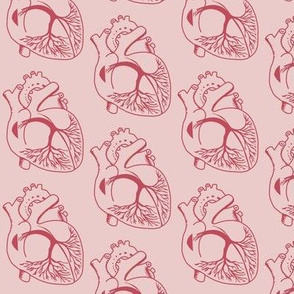 Anatomic heart