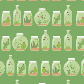 Gardens in bottles