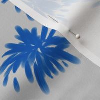 Chrysanthemum Blue & white