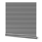 Black Stripes 1/2 Inch Horizontal