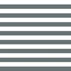 Shadow Stripes 1/2 Inch Horizontal