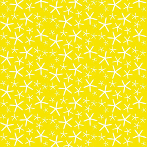 Yellow Star Fish