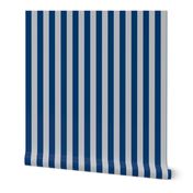 Stripes in Blue and Grey