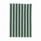 Stripes in Green and Grey