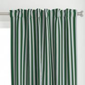 Stripes in Green and Grey