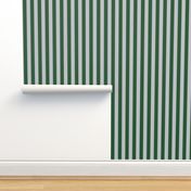 Stripes in Green and Grey