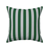 Stripes in Green and Grey