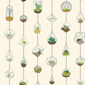 Hanging_Terrariums