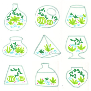 Jolly Green Terrariums