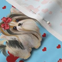 Biewer/Parti/Yorkie Blue and hearts M