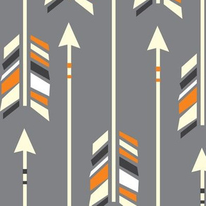 Large Arrows: Orange Appeal