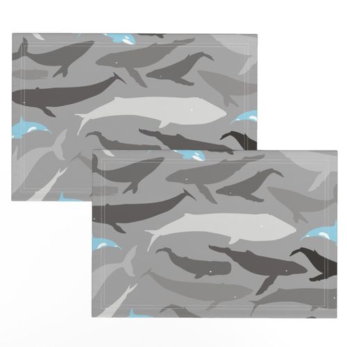 Whale shade of grey and blue