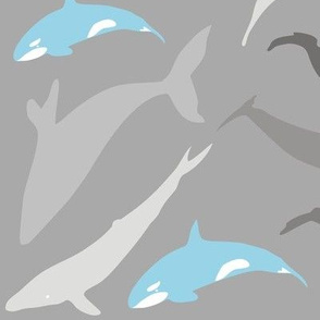 Whale shade of grey and blue