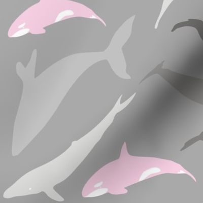 Whale shade of grey and pink