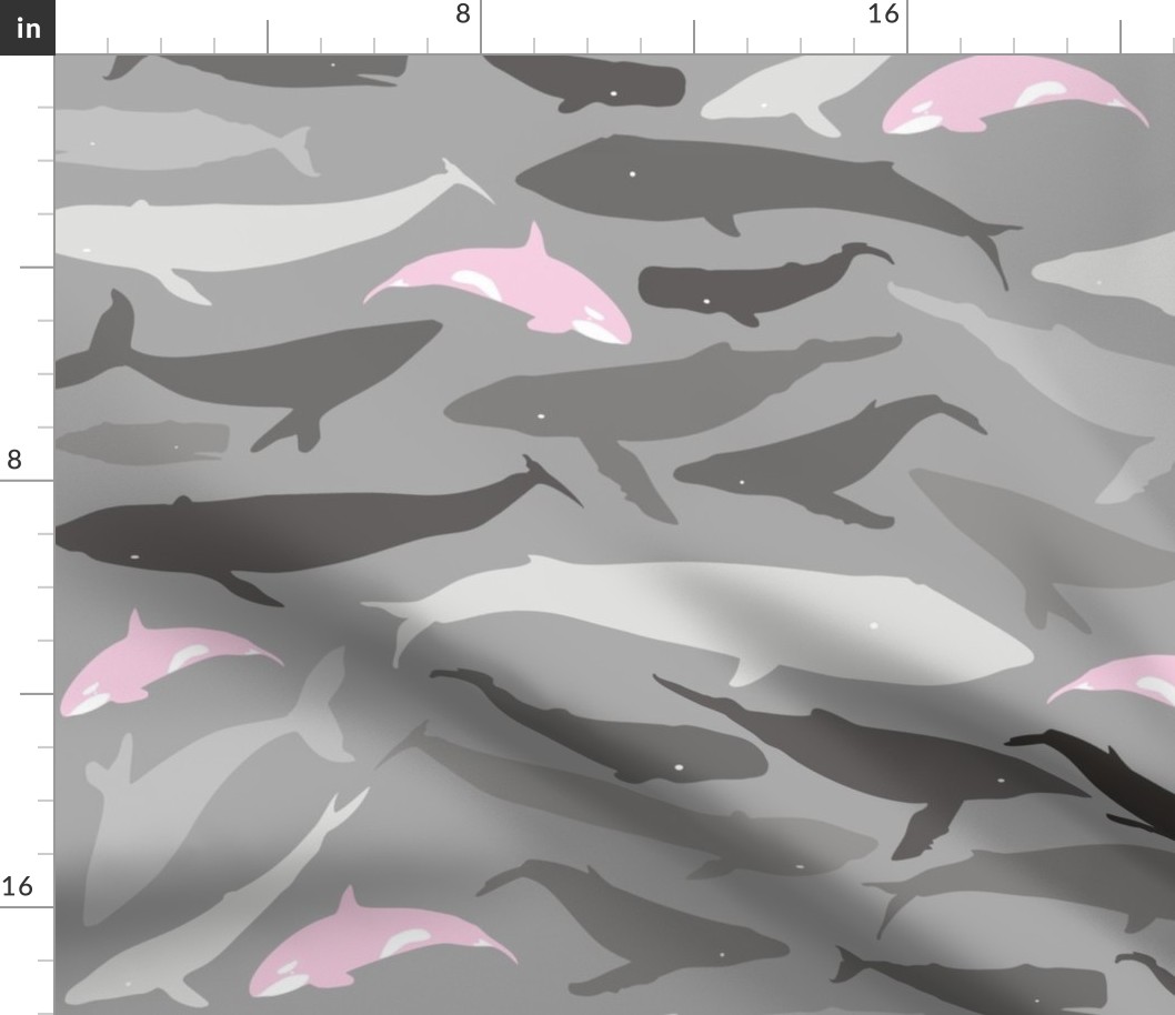 Whale shade of grey and pink