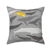 Whale shade of grey and yellow