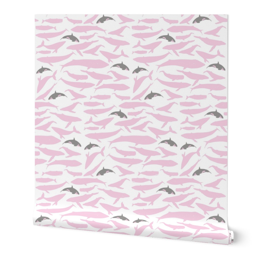 Whale grey pink on white