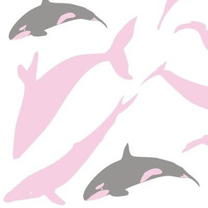 Whale grey pink on white